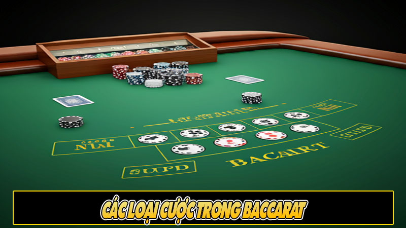 Các loại cược trong Baccarat